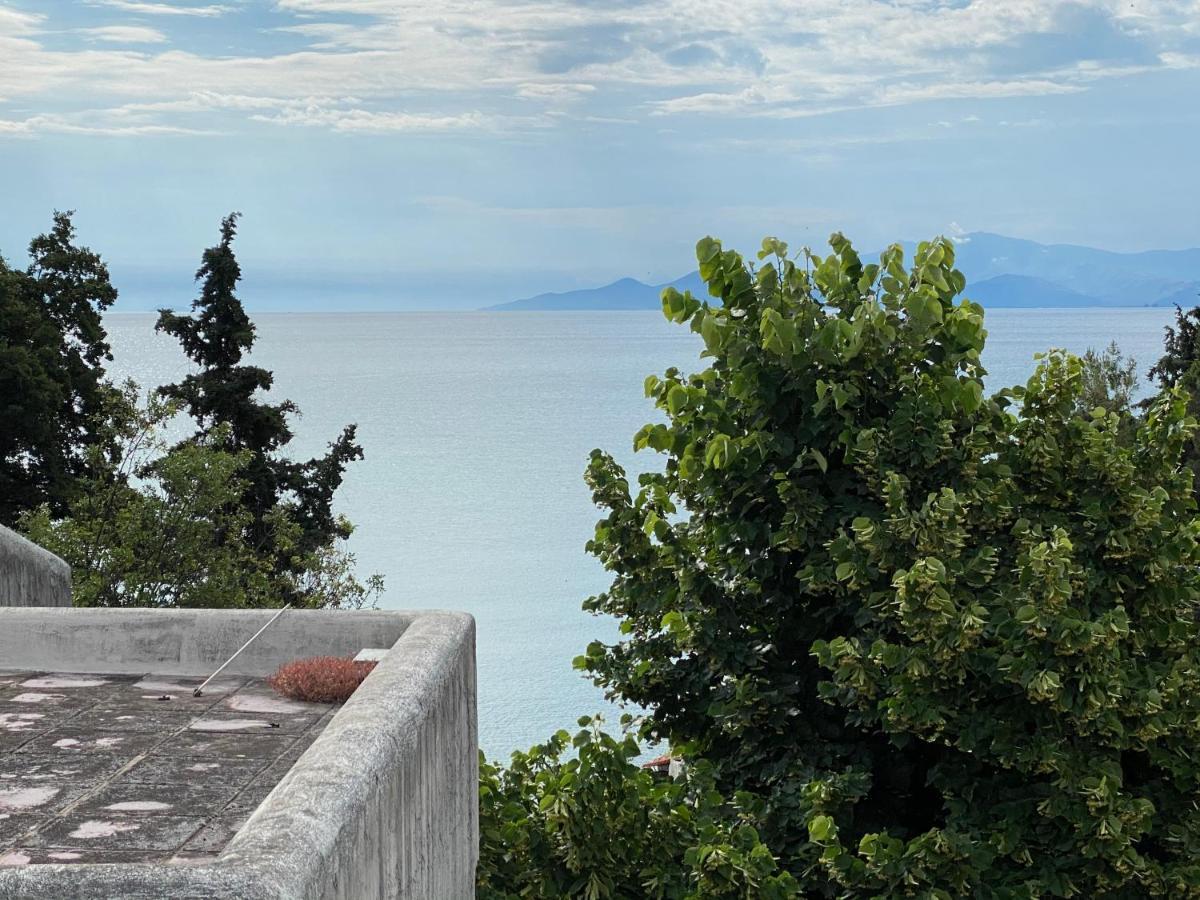 Irini Seaside Apartment PalaiónTsiflíkion Exterior foto